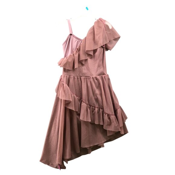 A Wish Come True Leotard Dress Girls IMC Child Pink Ruffle Chiffon Ballet - Picture 1 of 8